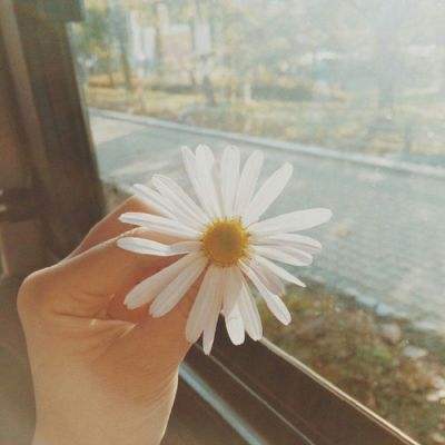 pc蛋蛋官网截图